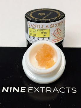 Nine Extracts - Vanilla Scoop - 2g Sugar Bucket