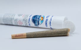 Cold Cure Labs (M) - Banana Cream Soda (I) - 1g Rosin Joint