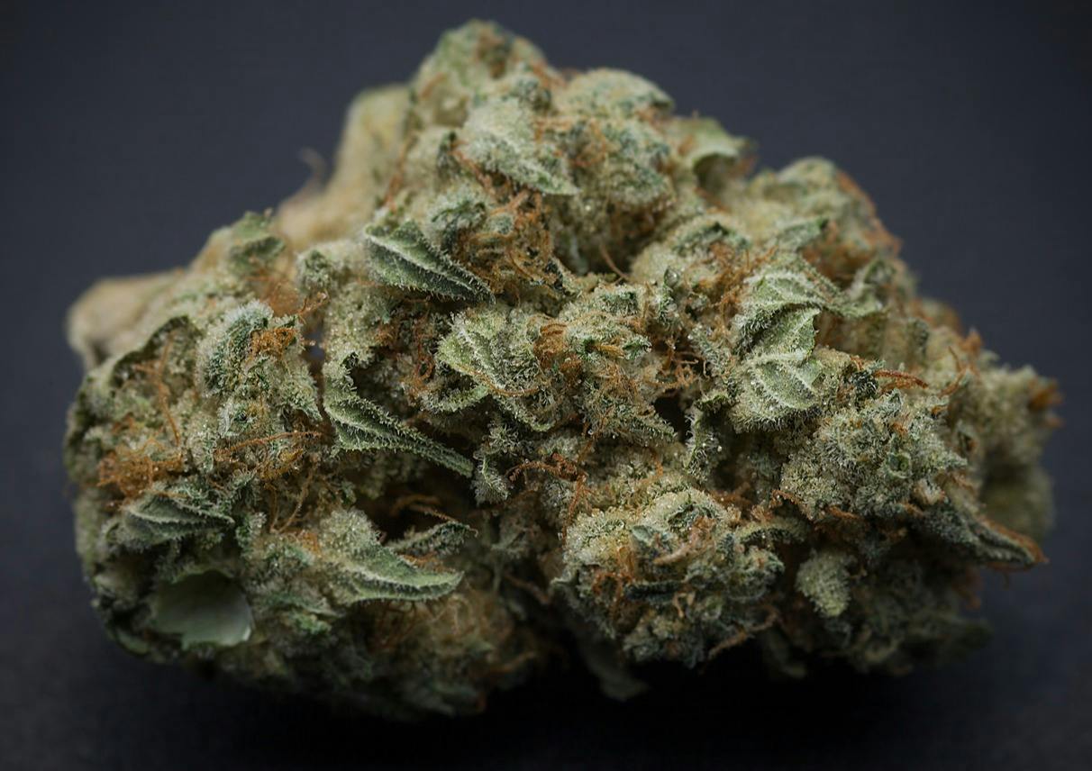 GMO Cookies Classic