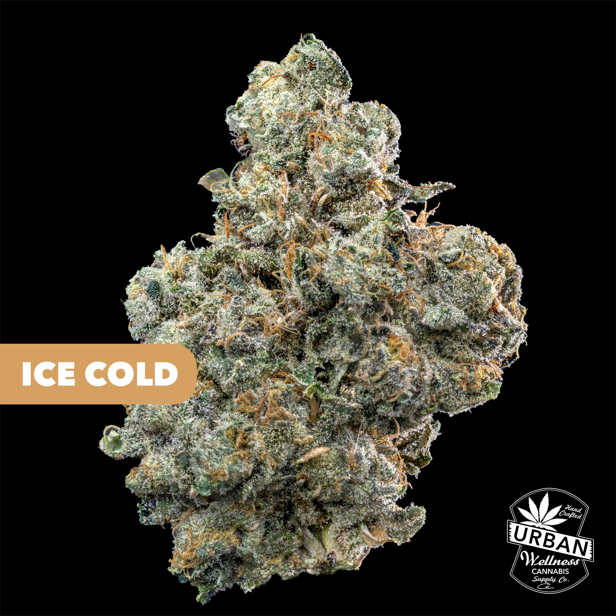 Ice Cold | Urban Wellness