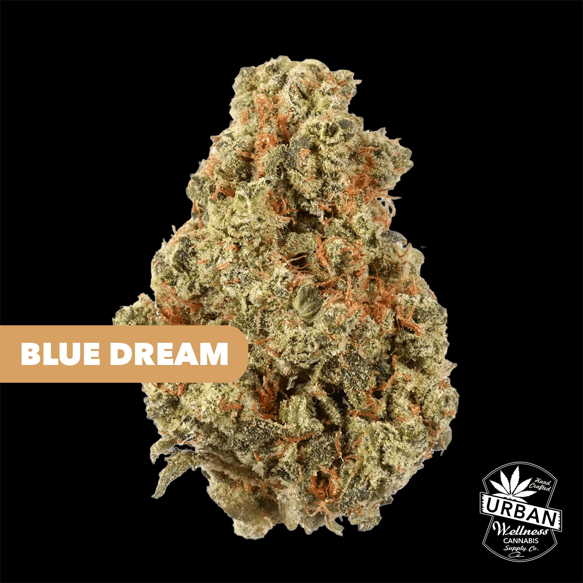 Blue Dream