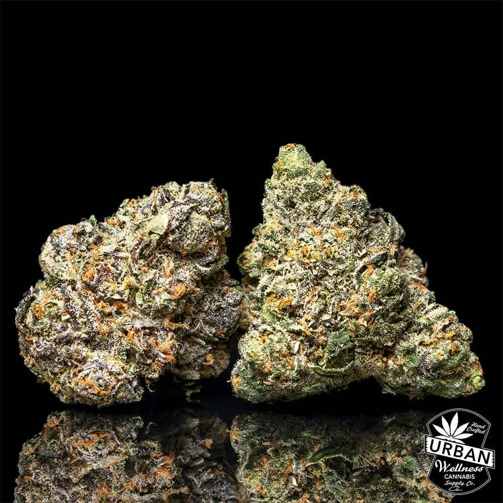White Runtz | Urban Wellness