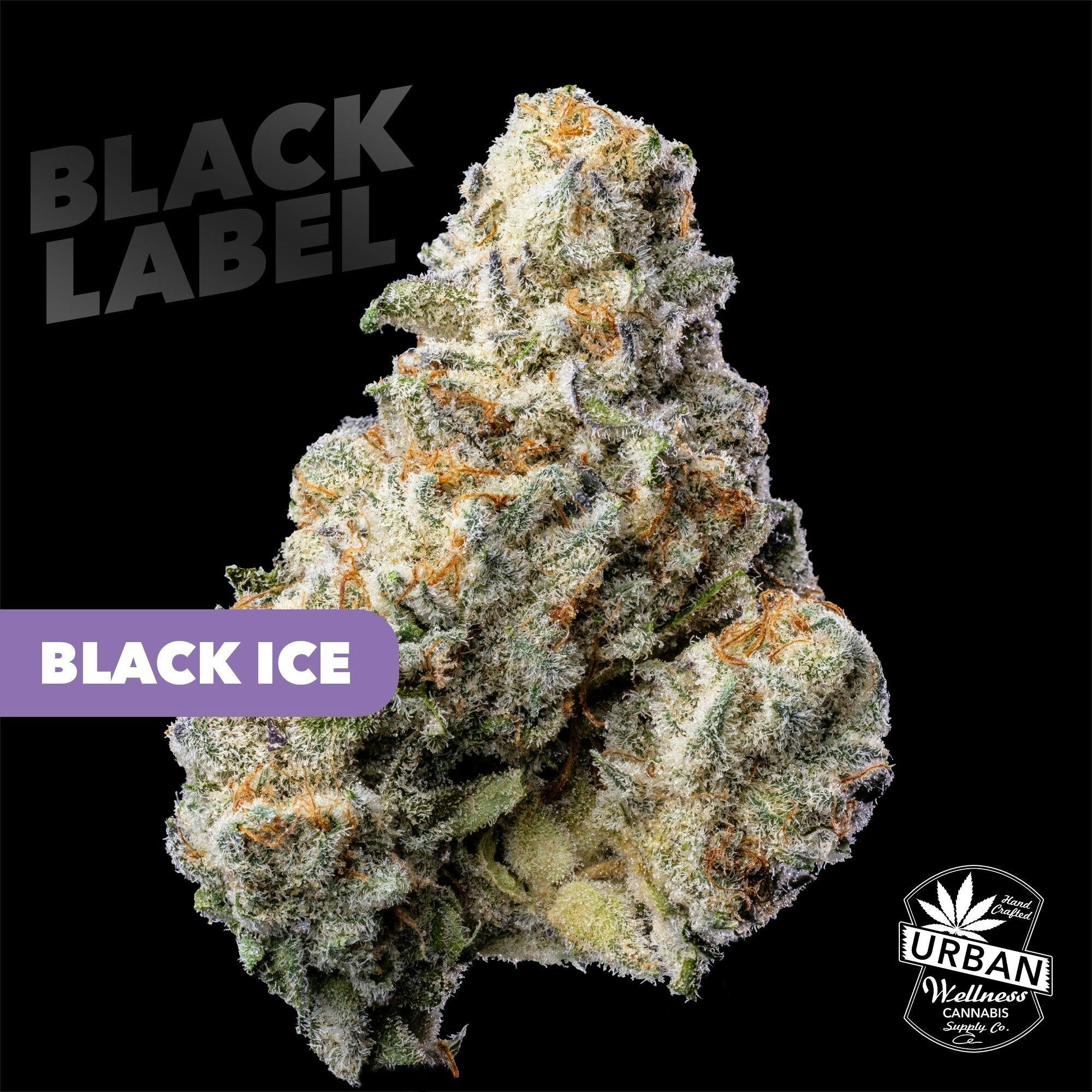 Black Label - Black Ice [4g]