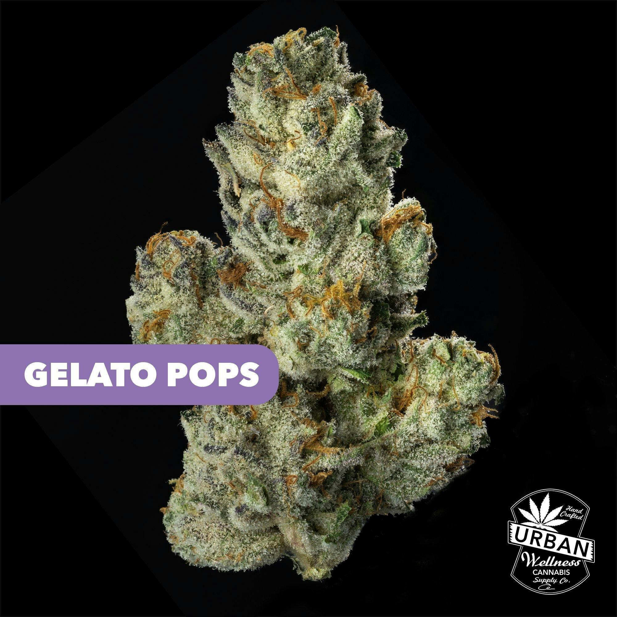 Gelato Pops