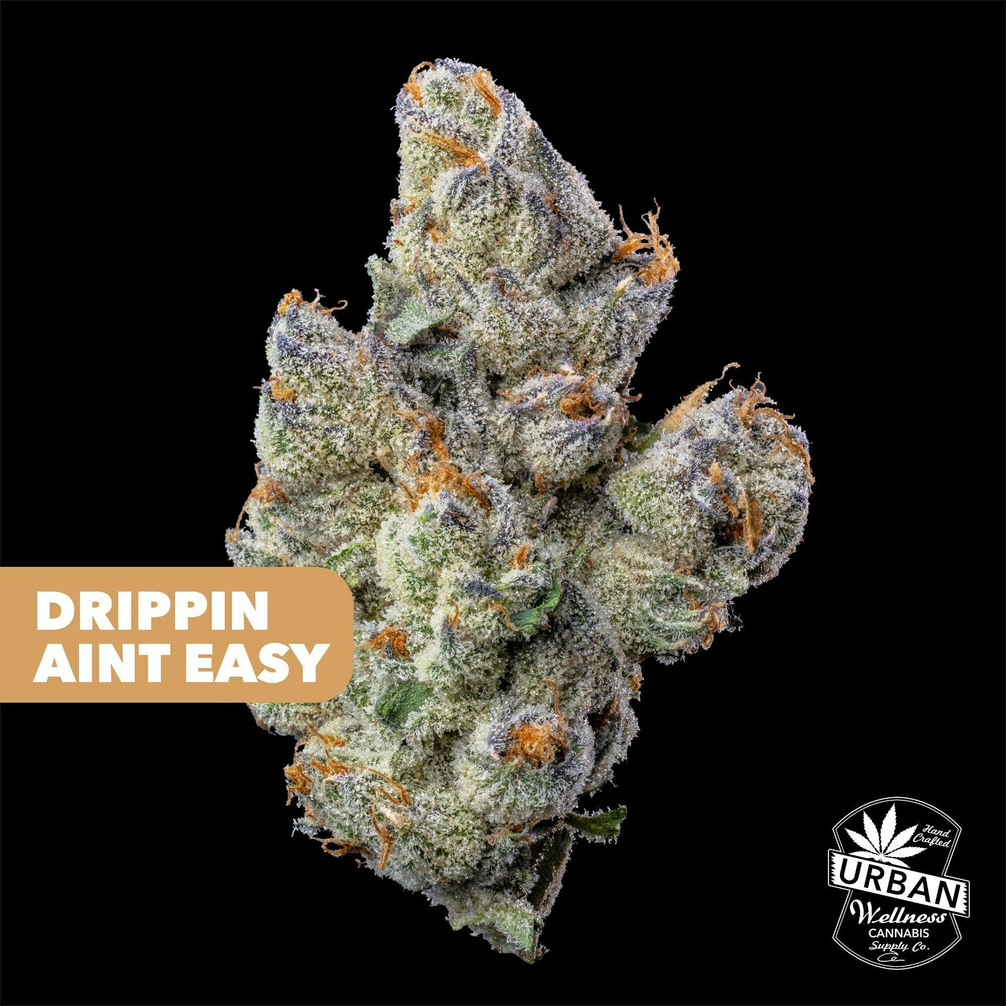 Drippin Aint Easy | Urban Wellness