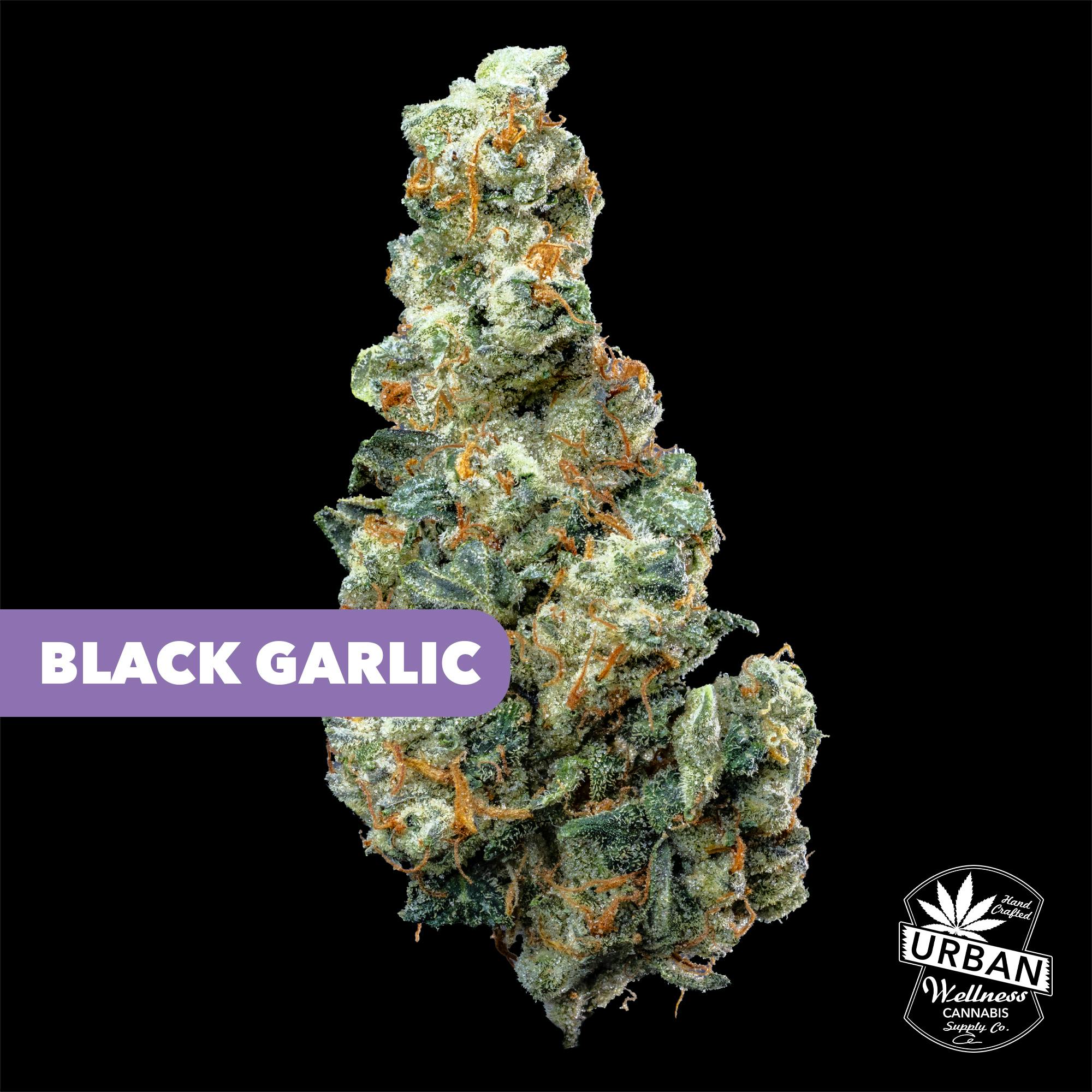 Black Garlic | Urban Wellness