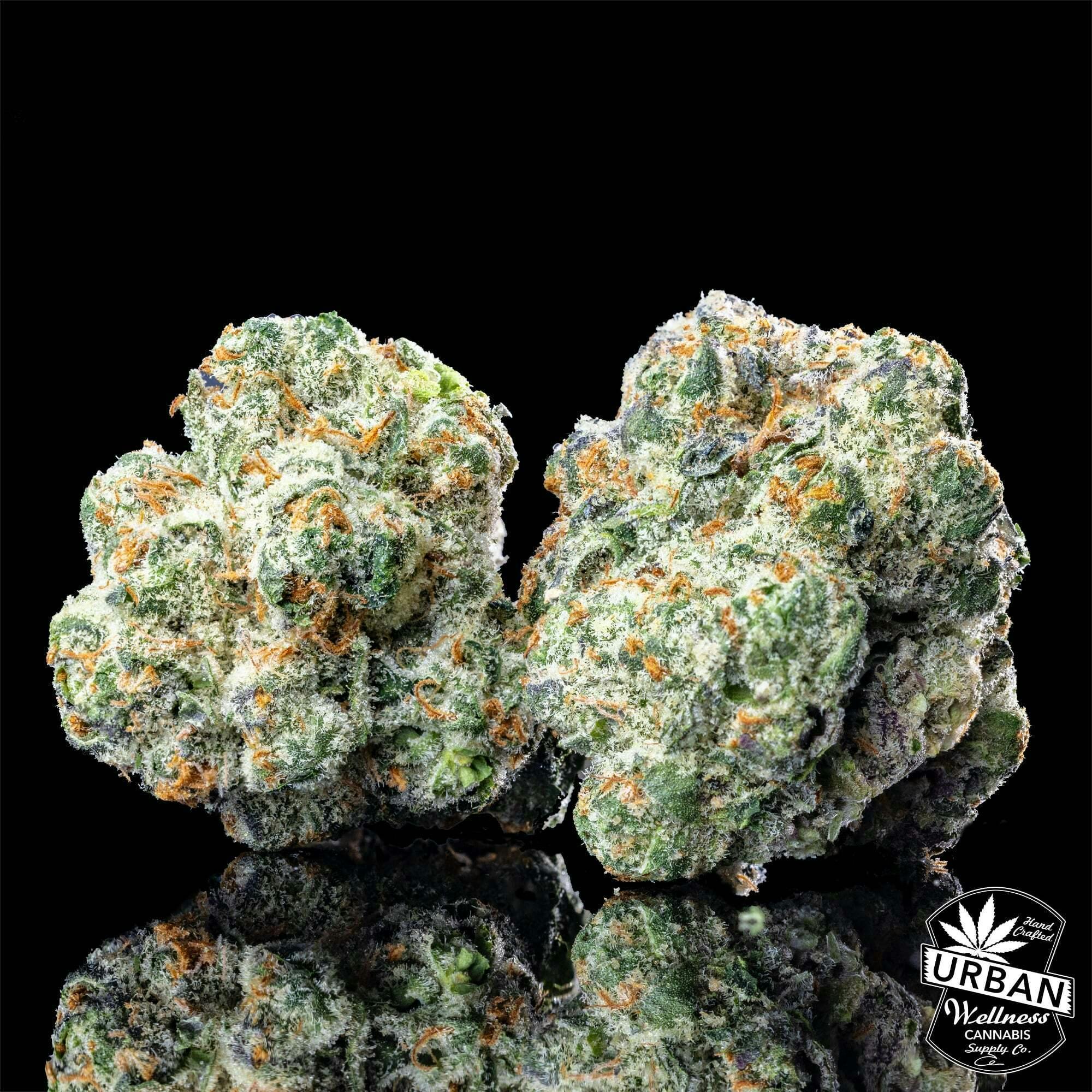 Super Boof | Urban Wellness