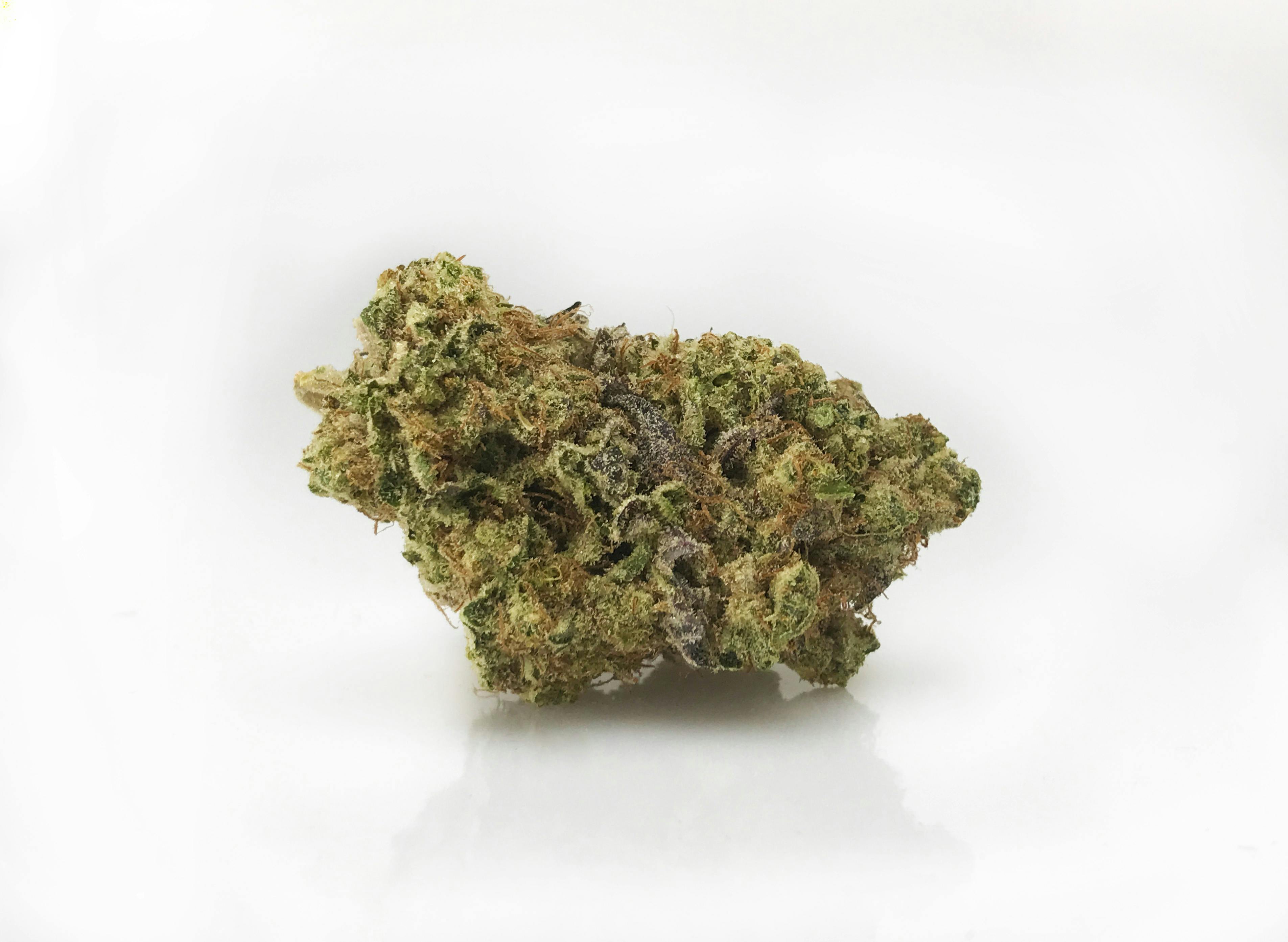 Jack Herer | Yellow Lid