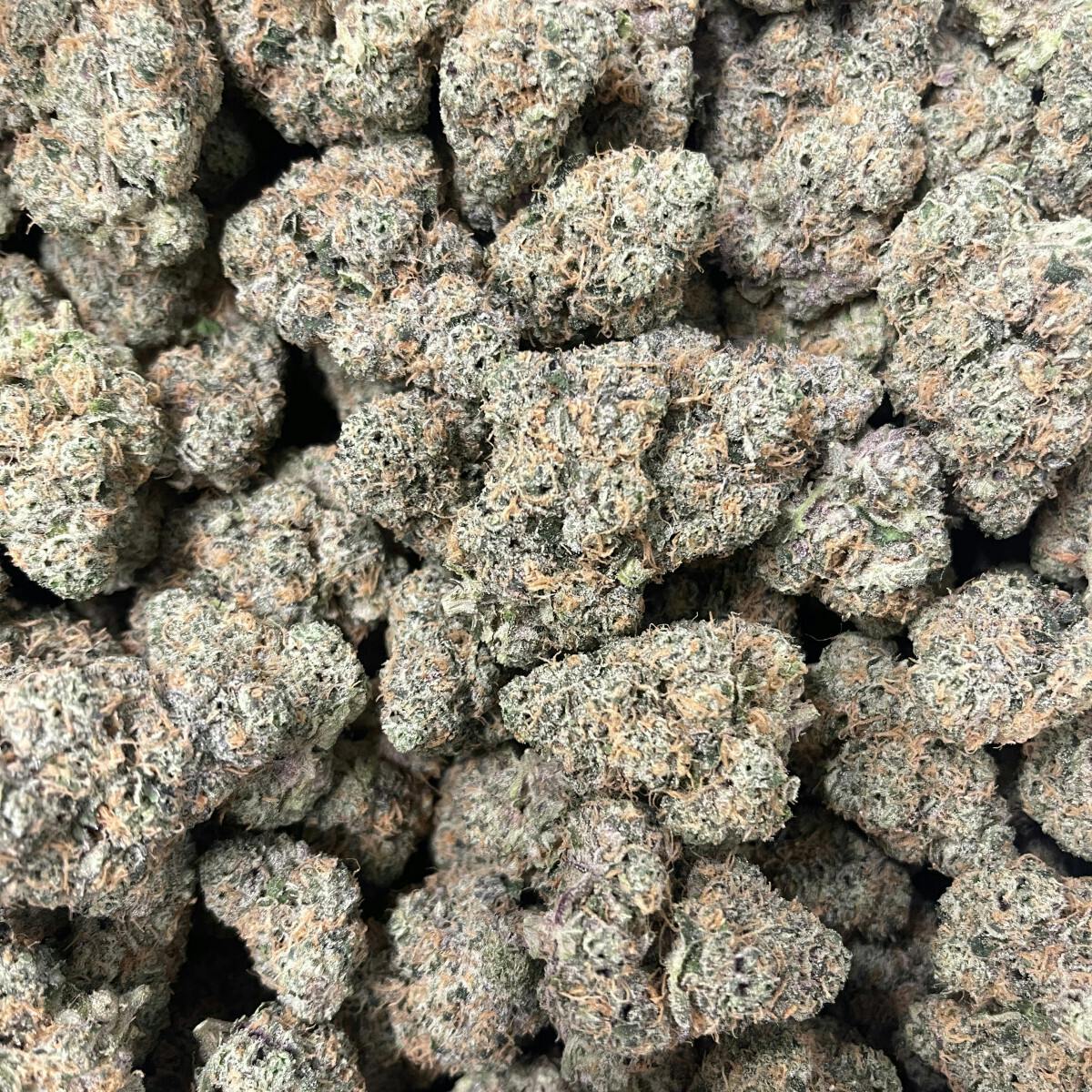 Grass Roots | Black Maple | (3.5g)