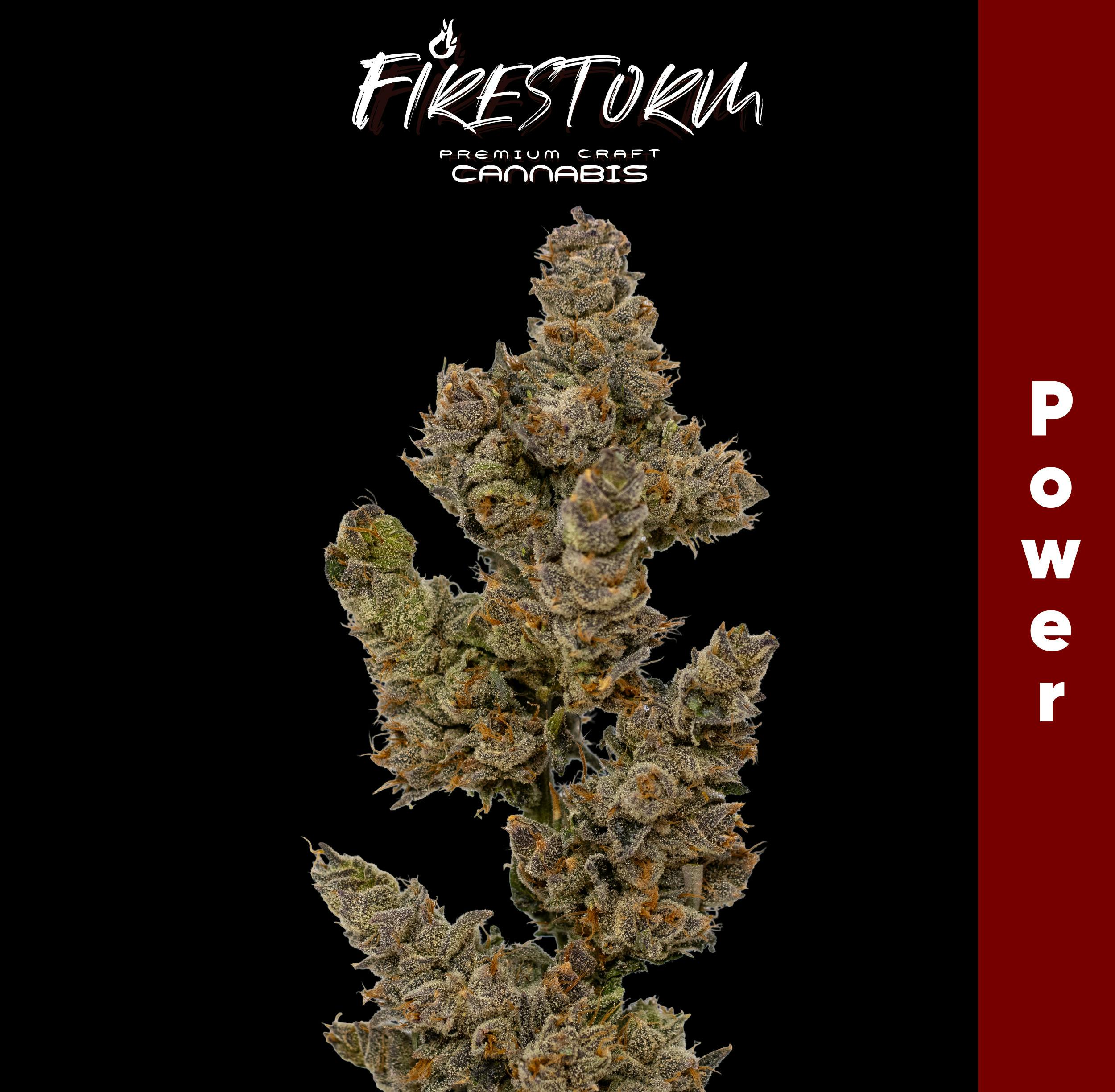 Power | Big Buds | 3.5g