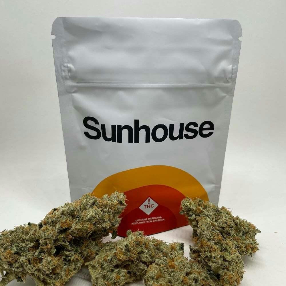 Astronaut Status | Sunhouse - Shake