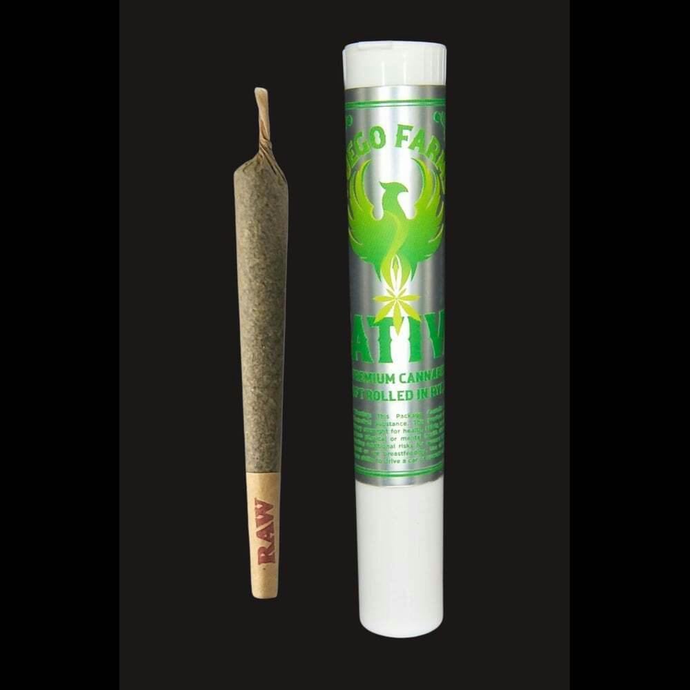 Apple Pyramids [1g] | Fuego Farms - Pre Roll