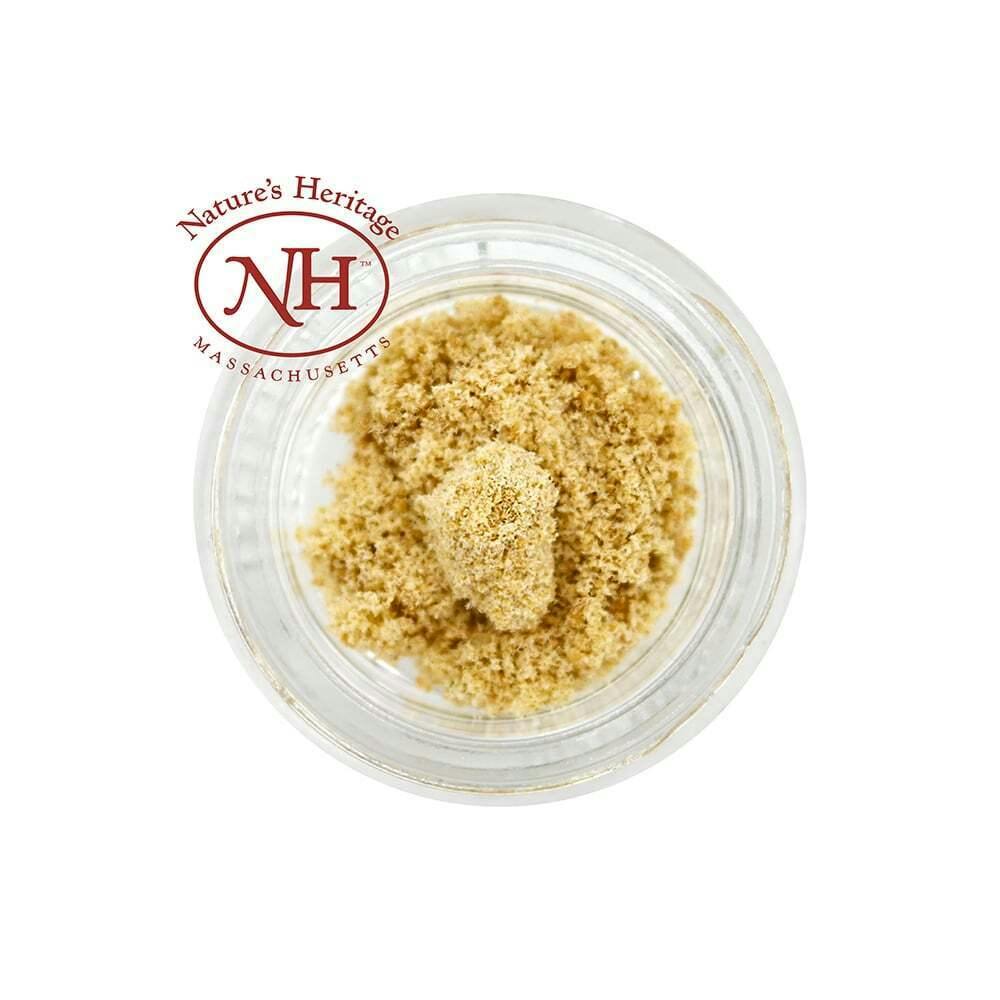 Lilac Diesel at Salty Farmers