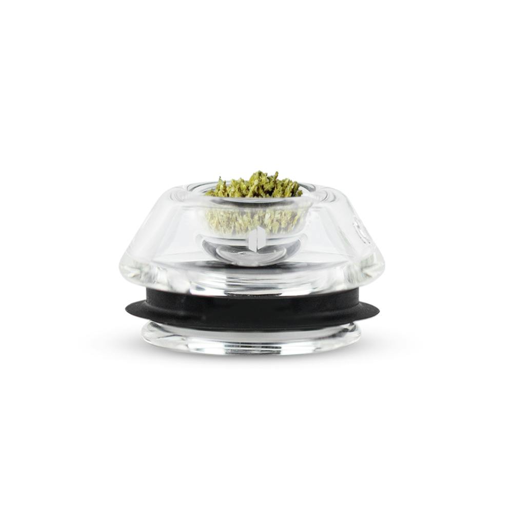 Proxy Flower Bowl