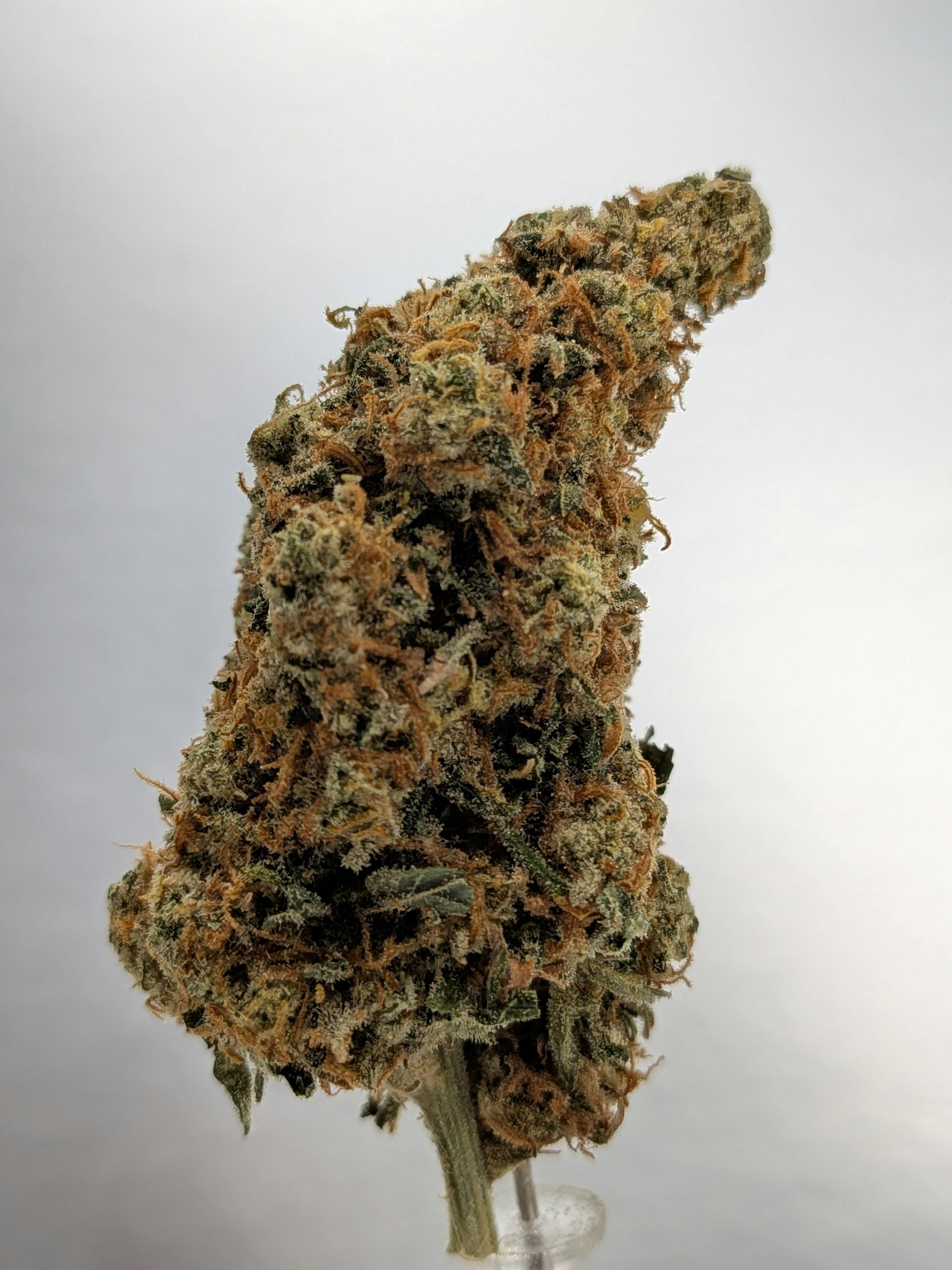 Blamo cannabis product