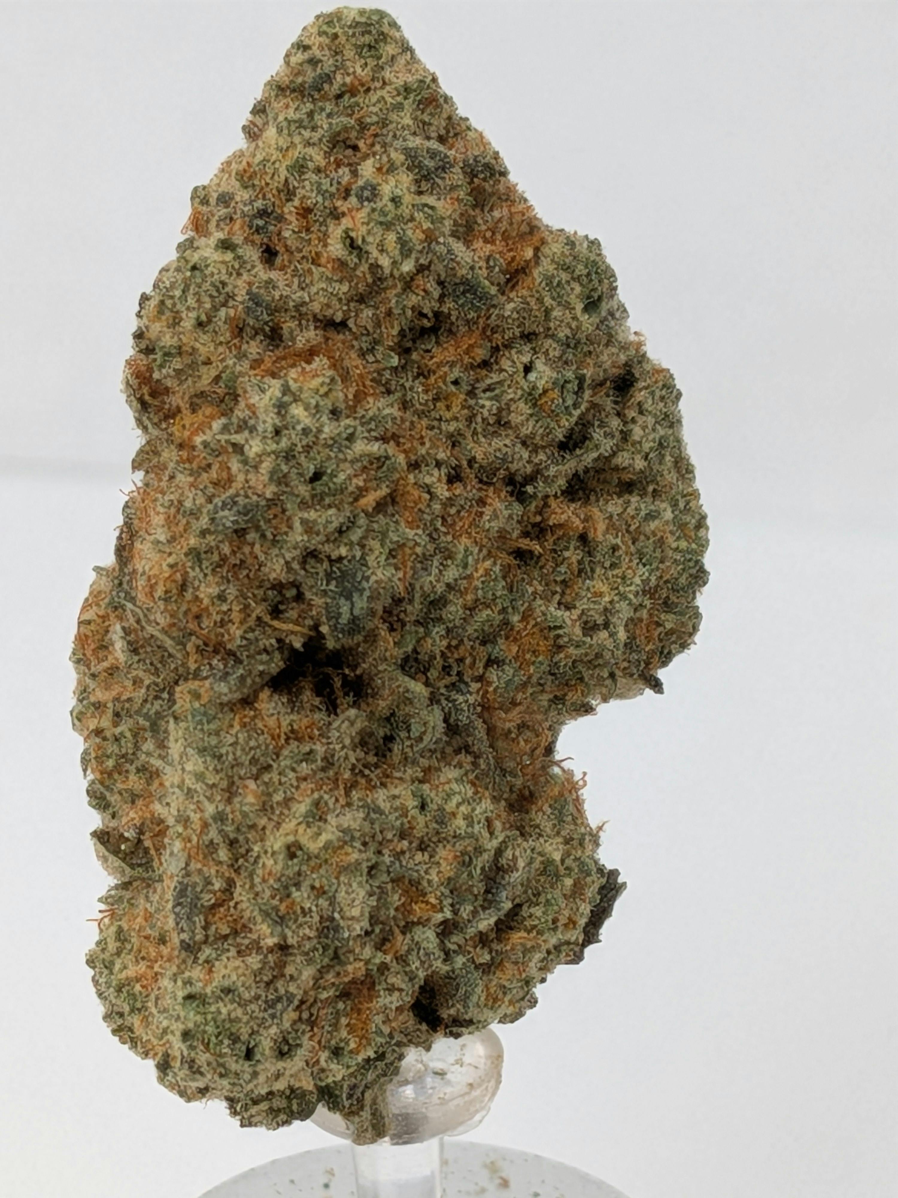 Dark Diesel | Karing Kind