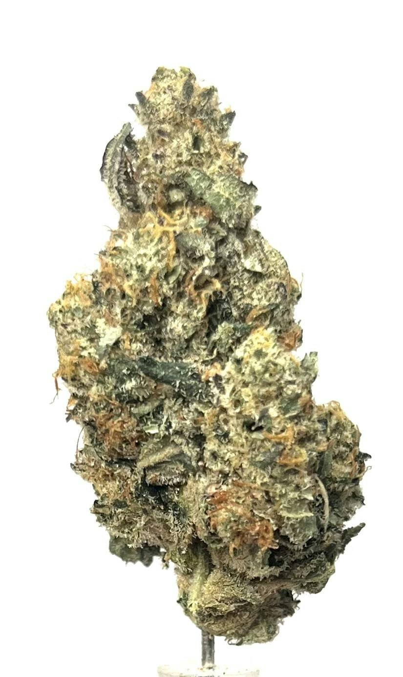 Altered Oranges | Karing Kind