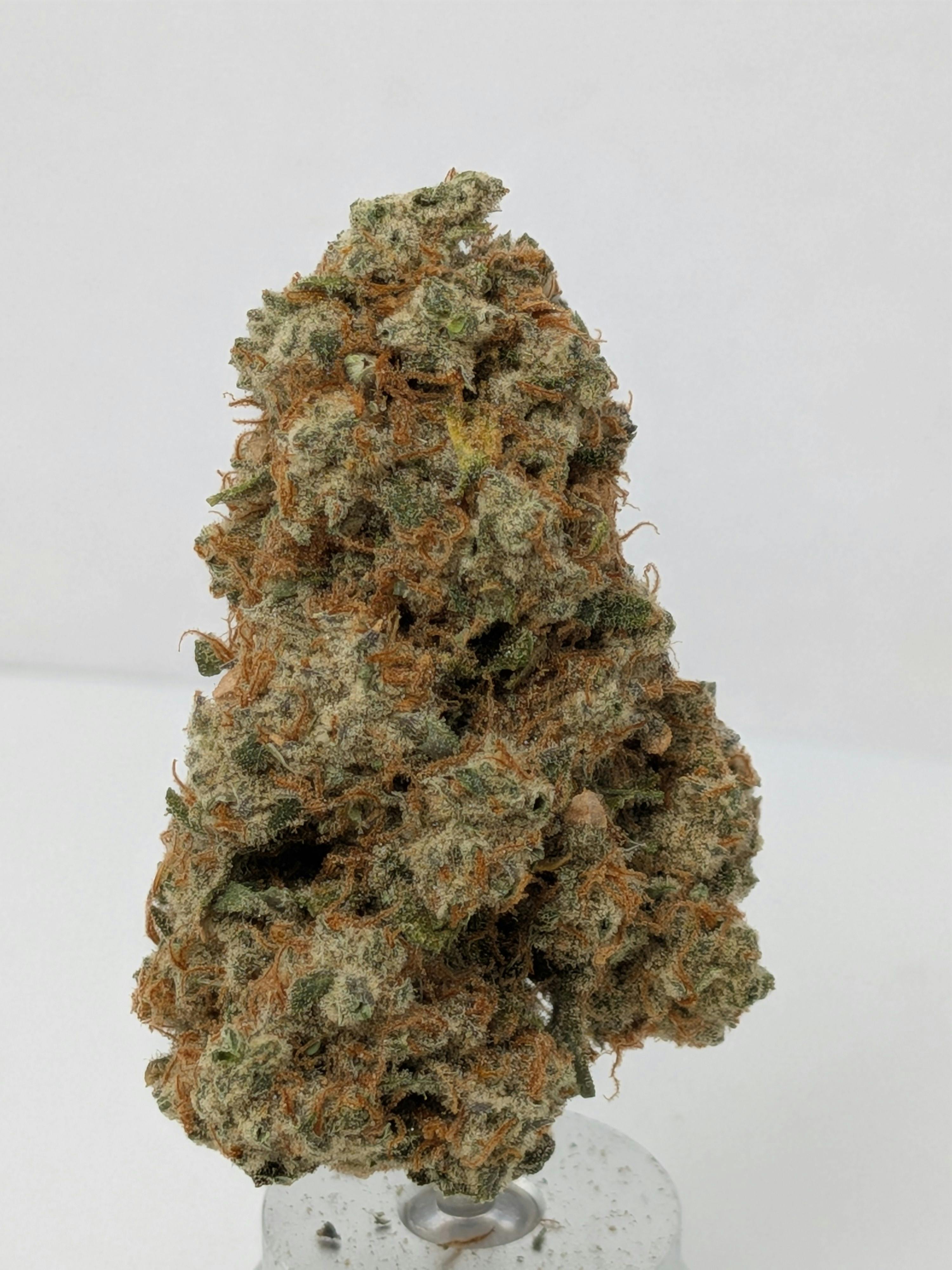 Blue Dream | Karing Kind