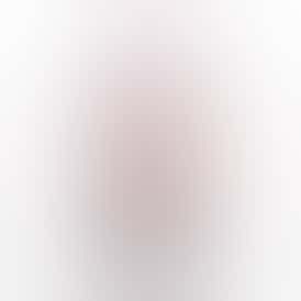 BLAZY SUSAN CARBON FILTERS 100 TIPS