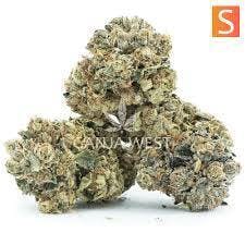 Calyxeum | Glueberry