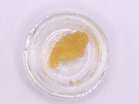 Tropicana Cherry Hybrid Diamonds