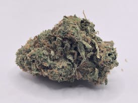 Aurora Indica - Flower
