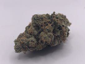 GMO Indica Flower