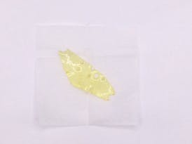 Maui Wowie Sativa Shatter - 1.00g Cloud 9