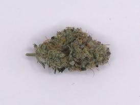 Hawaiian Romulan Sativa Flower