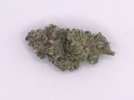 Grape Jubilee Indica Flower