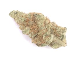 Blueberry Dum Dum Indica Flower