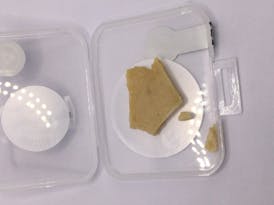 Banana Mango - Hybrid Shatter - 1.00g Cloud 9