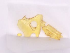 Gorilla Glue - Hybrid Shatter - 1.00g Cloud 9