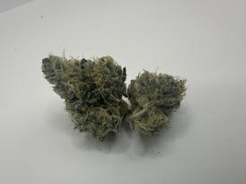 Haze Train Sativa Flower