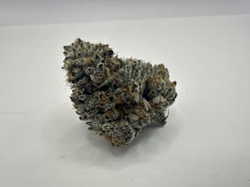 Ballers Game Hybrid Flower