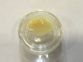 Apple Fritter Hybrid Concentrate