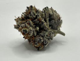 Gorilla Breath Indica Flower