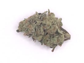 Cheesus Christ Sativa Flower