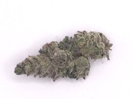 Purple Lemonade Indica Flower