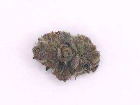 Super Lemon Haze Sativa Flower