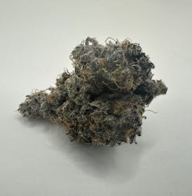Bahama Berry Indica Flower