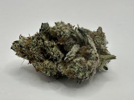 Four Prophets Indica Flower