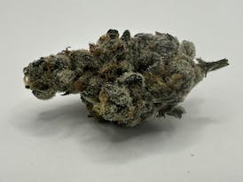 Brit Coin Hybrid Flower