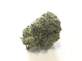 Bigfoot Gorilla Sativa Flower