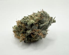 Fortune Cookies Sativa- Flower