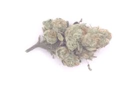 Confidential Cheese Hybrid Flower