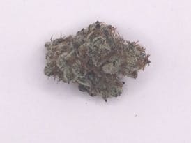 Incredible Hulk Sativa Flower