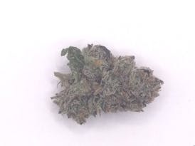 Brownie Scout Indica Flower