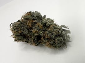Durban Poison Sativa Flower