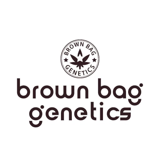 Brown Bag Pre-ground — Cinderella